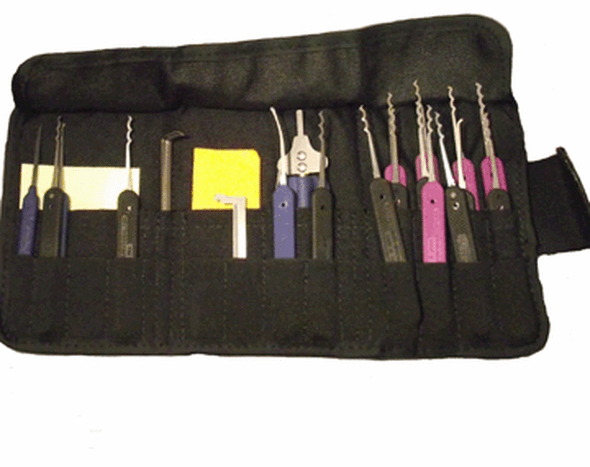 Lock discount pick case