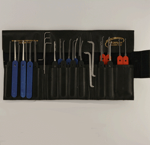 G-20-5-GSR SET-PETERSON PICK SET